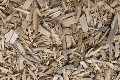 biomass boilers Barepot